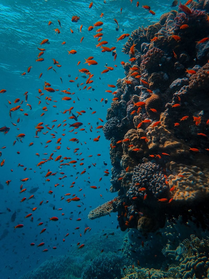 Underwater Adventure